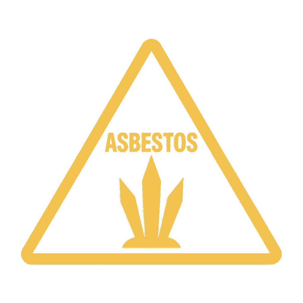 Asbestos Inspection Icon